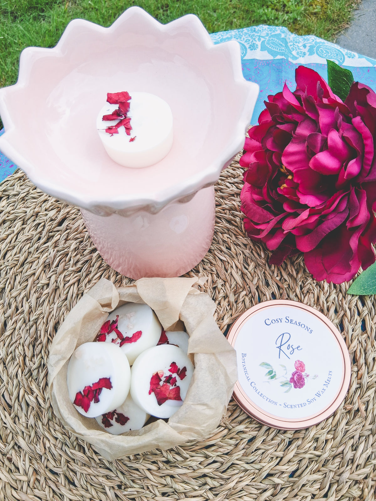 Botanische waxmelts Roos